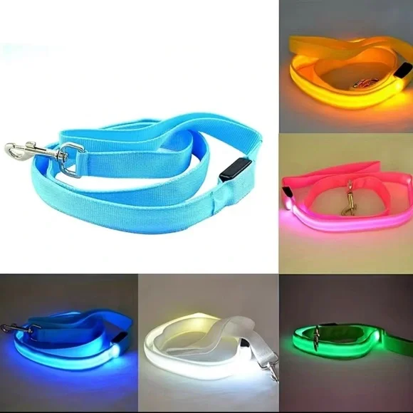 New white LED lit up leash, be seen at night! - Picture 5 of 6